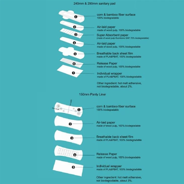 Eco Friendly Panty Liners